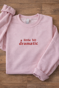 A little bit dramatic, Embroidered sweatshirt